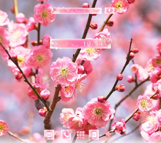 Advent of Spring Theme +HOME
