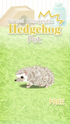 Hedgehog Pet