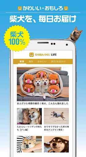 柴犬ライフ:100％柴犬情報メディア