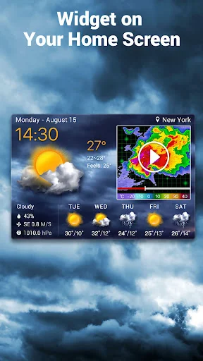 Local Weather Forecast