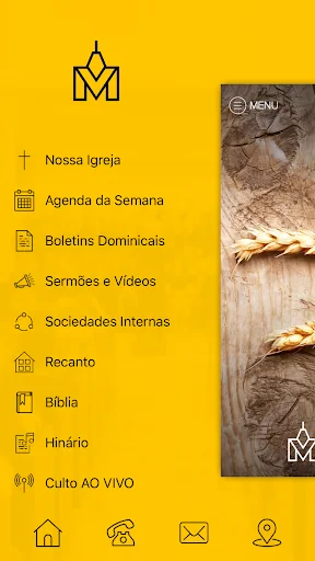 IP Vila Mariana