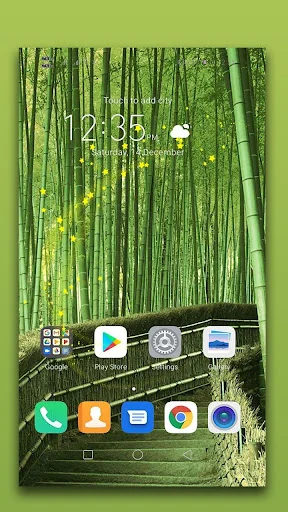 Bamboo Forest Live Wallpaper