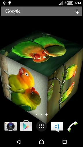 Love Bird Live Wallpaper