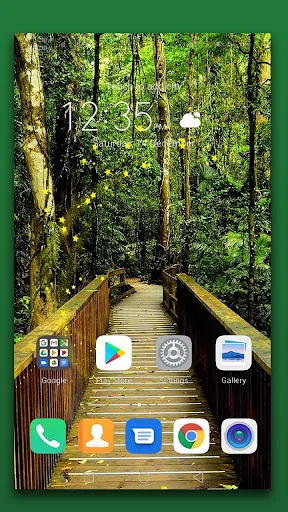 Rain Forest Live Wallpaper