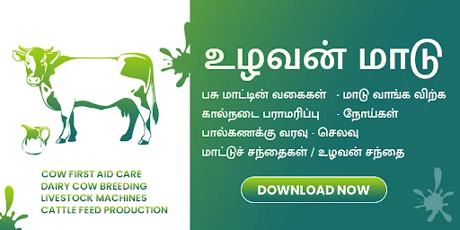 Uzhavan Maadu - உழவன் மாடு