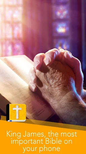KJV offline Bible King James