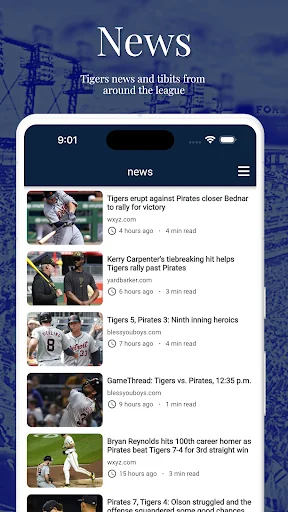 Detroit Baseball Tiger Edition