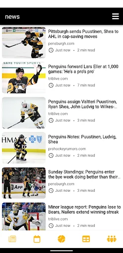 Pittsburgh Hockey