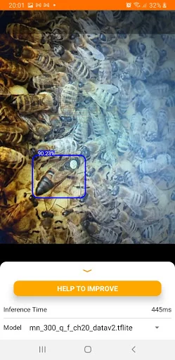Bee Queen Detector
