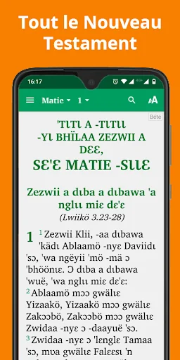 Bible in Nyaboa with audio