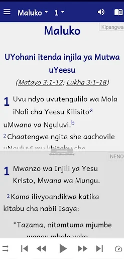 Pangwa Bible - with Swahili