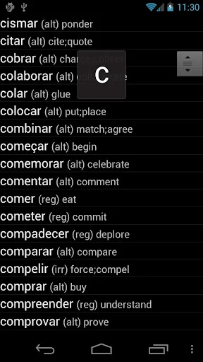 Portuguese Verbs