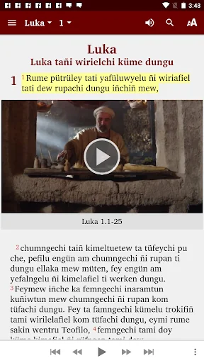 Mapudungun Bible