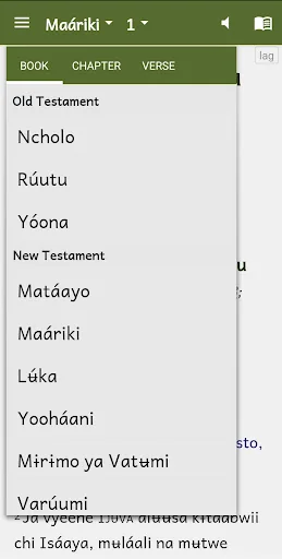 Rangi Bible - Audio & Swahili