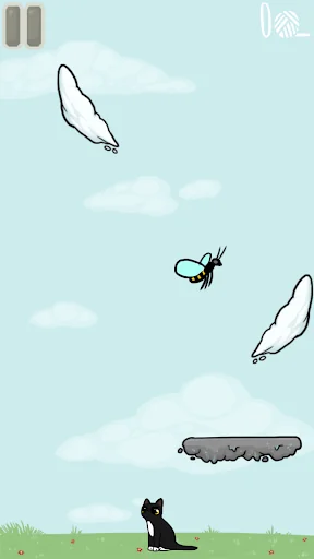 Cat into Space