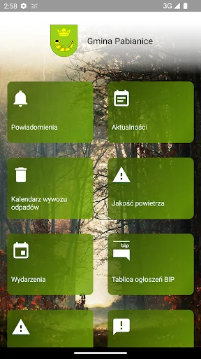 Gmina Pabianice