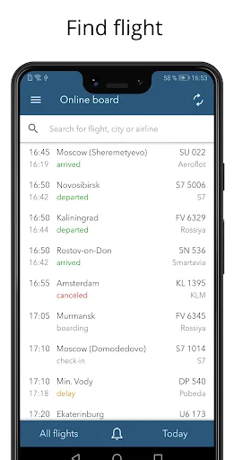 Pulkovo Airport: flights info