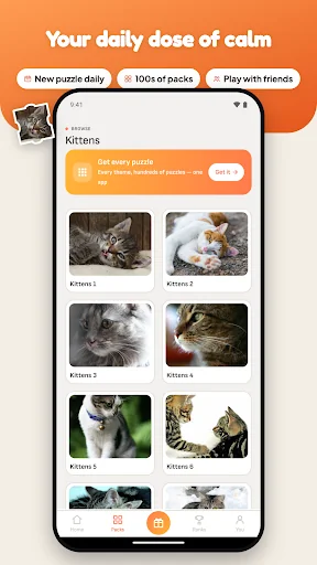 Cats & Kitten Puzzle