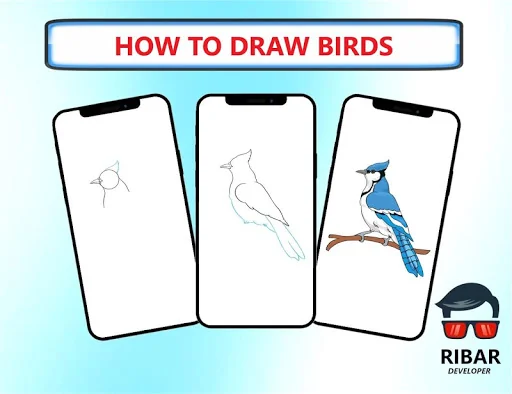 How To Draw Birds