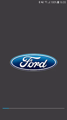 Ford DashCam