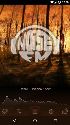 Noise FM