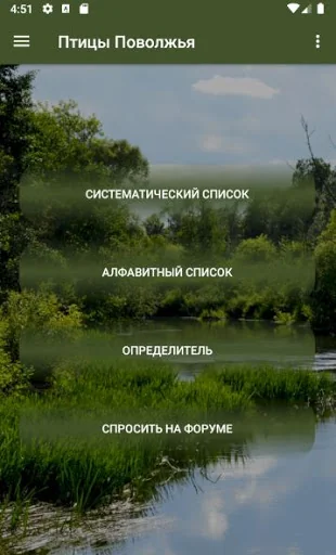Птицы Поволжья
