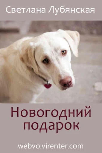 Новогодний подарок