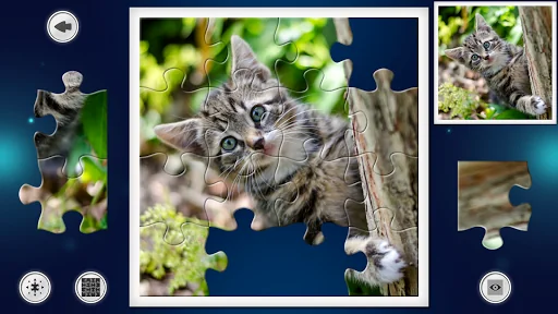 IMAGEine Premium