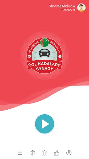 Millioner: Ýol Kadalary Synagy