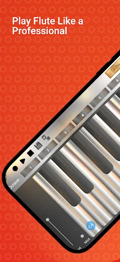 Professional Flute Elite