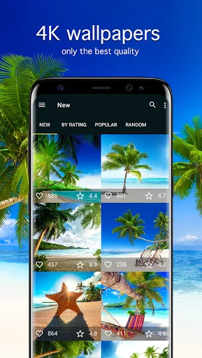 Tropical Wallpapers 4K