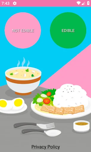 How to make food for dolls