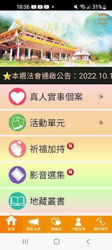 九華一枝蓮