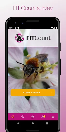 FIT Count