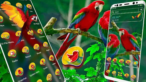 Macaw Parrot Theme