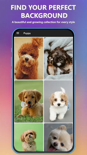 Puppy Wallpapers 4K & HD