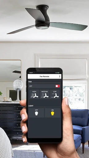 Fan Remote