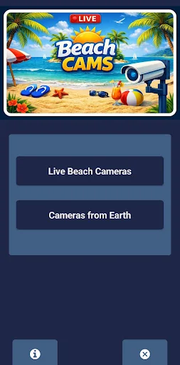 Live Beach Cams