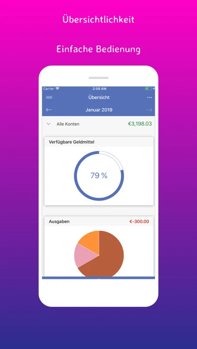 SayMoney Pro - Budgetplaner