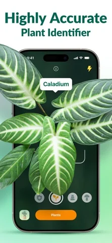 Plantum: Pflanzen Erkennen