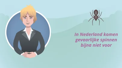 ZeroPhobia - Spinnenangst
