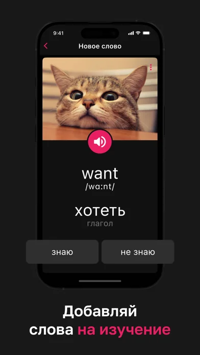 Anki・Словарь английского языка
