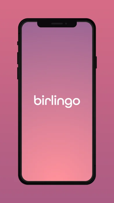 Birlingo Sprachkurse