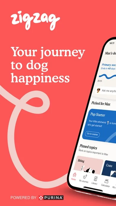 Zigzag - Puppy & Dog Training