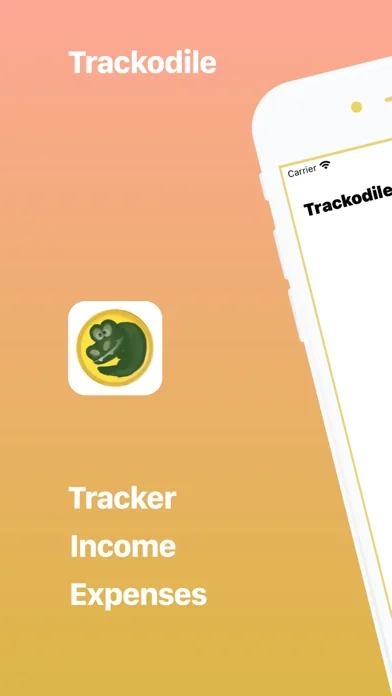 Trackodile: Einnahmen Ausgaben