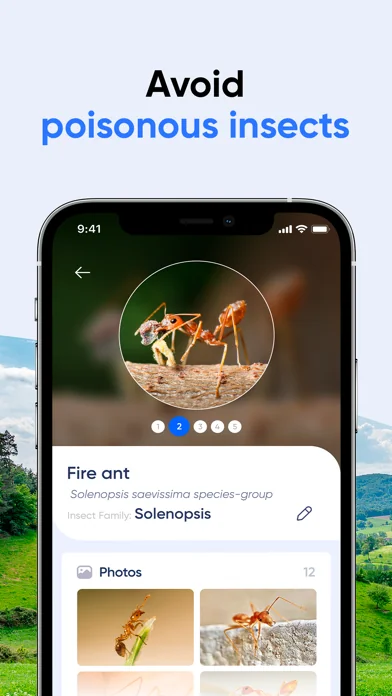 Bug Identifier: AI Insect id