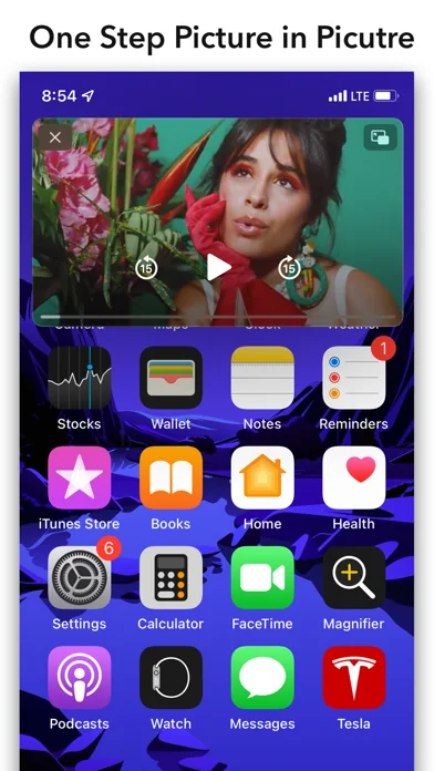 Easy PIP for Safari