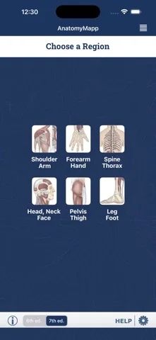 AnatomyMapp