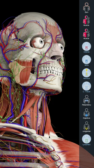 Essential Anatomy 5