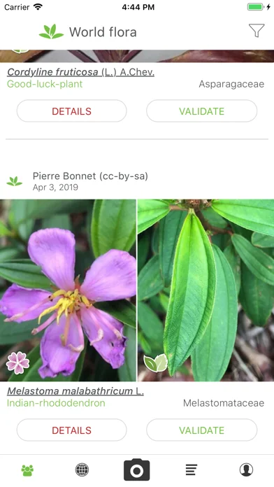 PlantNet
